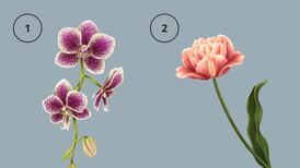 Test de personalidad: Descubre si eres alguien petulante eligiendo una flor