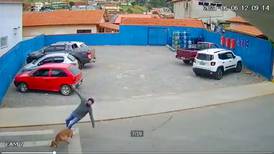 (Video) Perrito atropella de manera graciosa a un peatón