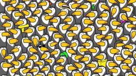 Acertijo visual: ¿Puedes encontrar al pingüino escondido entre los tucanes?