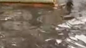 Video:Hombre en patín del diablo se fue de cara contra una calle inundada