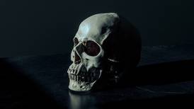 ¡Macabro hallazgo! Encuentran cráneo enterrado en la vía pública de la alcaldía Tlalpan