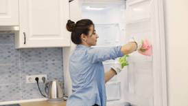 6 errores que cometes al limpiar tu refrigerador ¡Podrías dañarlo!