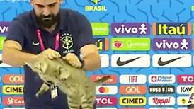 VIDEO | La inesperada acción del auxiliar de Brasil con un gato en conferencia de prensa