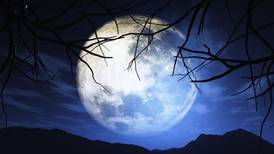 Calendario astronómico de noviembre 2021: ¡Luna del Castor, lluvias de estrellas y más!