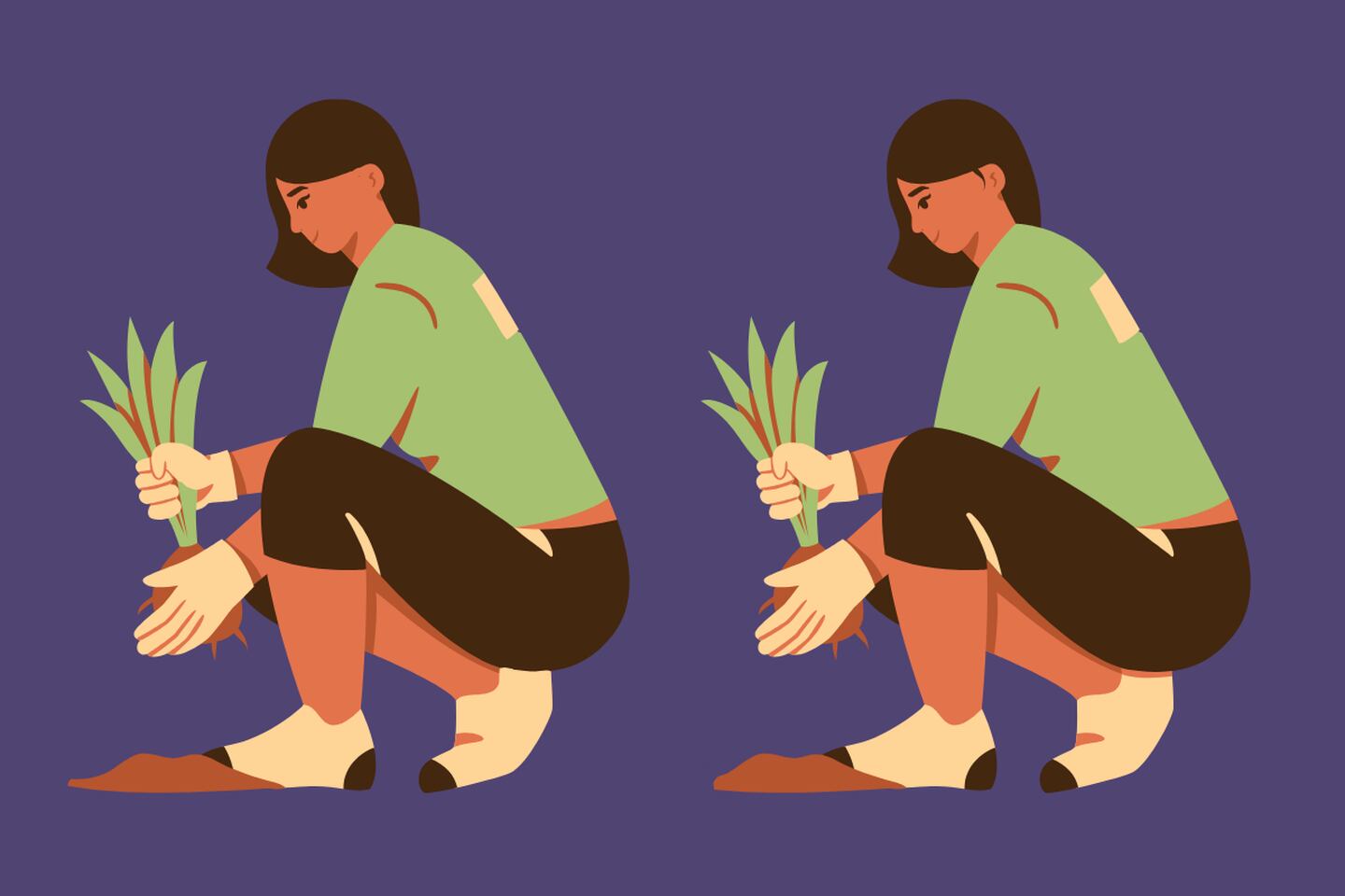 En este test visual podemos ver la imagen de dos mujeres plantando, y aunque parecen iguales, hay 5 diferencias entre ellas.