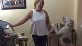 VIDEO | Perrito llora sobre el ataúd de su amo y conmueve a todos en redes sociales