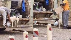 Perrito ayuda a recolectores de basura en su jornada y se hace viral |VIDEO