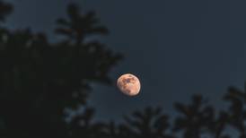 Luna Rosa y eclipse solar: Estos son los eventos astronómicos de abril