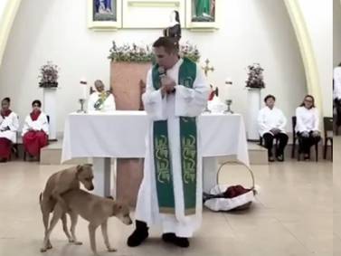 VIDEO | Perritos interrumpen una misa de forma peculiar y se hacen virales