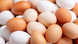 Nueva York: Una multa de huevos, por incrementar los precios durante la pandemia