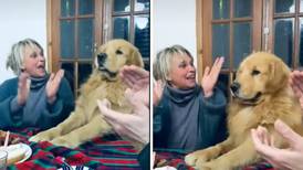 VIDEO| Perrito se emociona por su cumpleaños y su reacción se viraliza