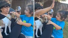 Abuelita defiende a su perrito y se hace viral |VIDEO