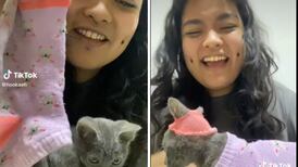 VIDEO| Joven le hace traje a su gatito con un calcetín y se hace viral
