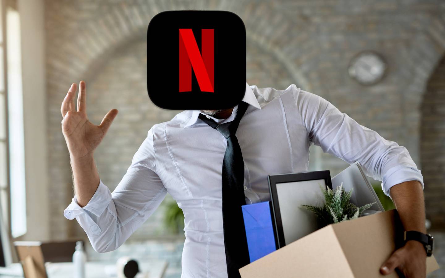Netflix despedido