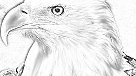 Acertijo visual: Descubre el rostro del hombre en el Águila en tan sólo 15 segundos