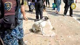 [VIDEO] 26 perros son rescatados de un departamento en Iztapalapa