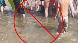 VIRAL | Turistas matan a delfín que quedó varado en una playa de Texas