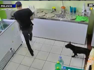 VIDEO | Lomito cómplice: Captan a un hombre y a su perrito asaltar dentro de una tienda