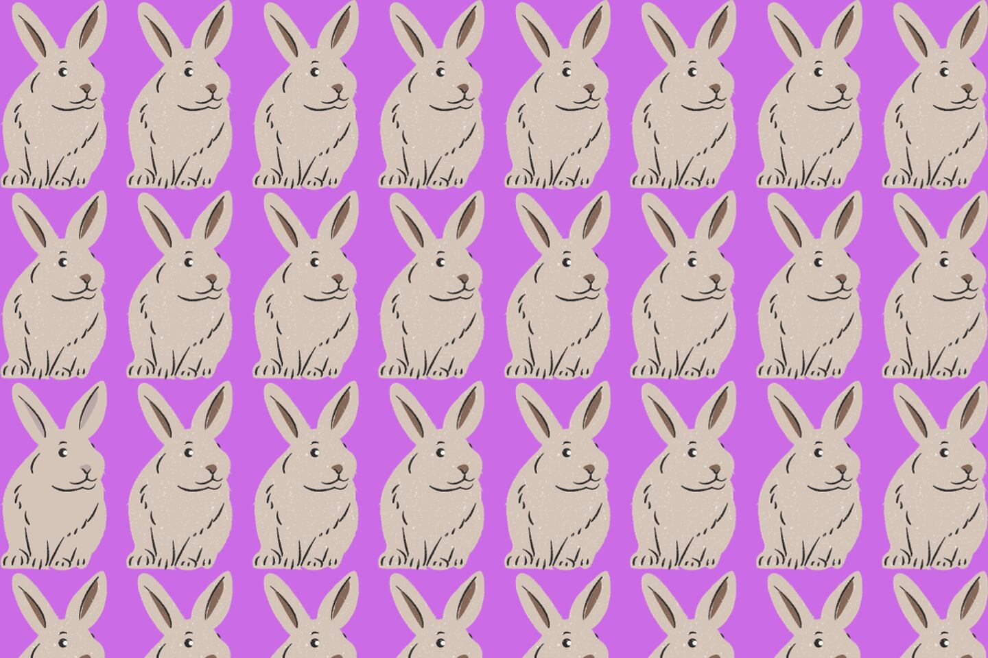 En este test visual hay muchos conejos iguales, sin embargo, uno tiene un detalle de otro color.