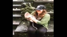 Mamá mono ataca a turista en un zoológico