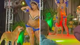 Perrito se roba show de danza y se hace viral| VIDEO