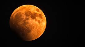 Último Eclipse Lunar 2022: Cómo, cuándo y dónde ver el evento astronómico más esperado de noviembre