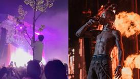 VIDEO | Fanático trepa un árbol para poder ver el show de Travis Scott en AXE Ceremonia 2023
