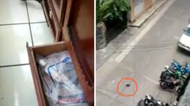 VIDEO| Rata sale volando de una casa y se vuelve viral
