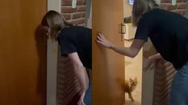VIDEO | Gatito le abre la puerta a su humana que olvidó las llaves y se vuelve viral