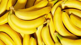 Salud: 4 beneficios de desayunar plátano todos los días