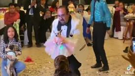 VIDEO | Perrita chihuahua festeja sus XV años bailando el vals y se vuelve viral