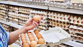¿Por qué el huevo aumentó de precio en 2023? Conoce dónde comprarlos más baratos 