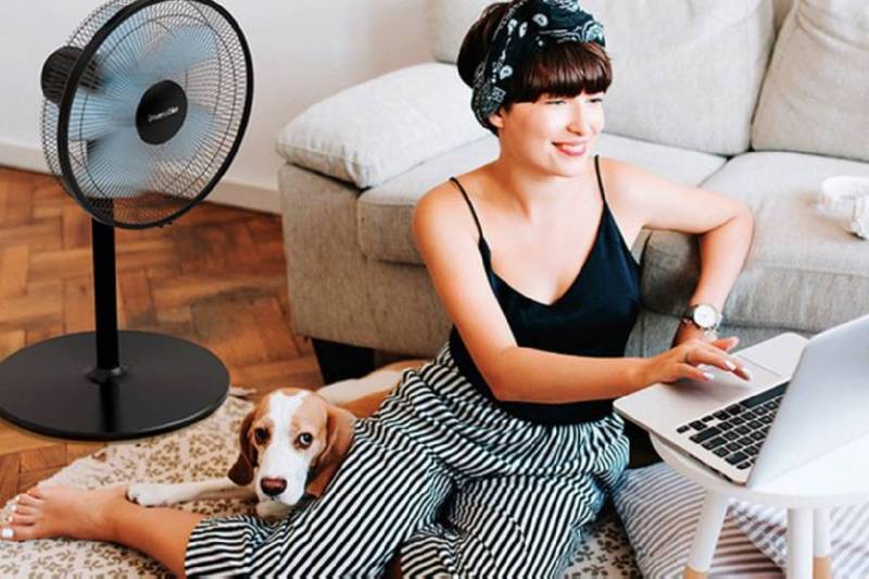 Mujer sentada en el piso, trabajando en la computadora con un ventilador detrás y un perro recargado en sus piernas.
