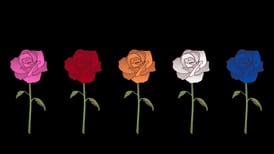 Test de personalidad: Si tuvieras que regalarte una rosa, ¿de qué color sería? 
