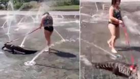 VIDEO | Niña pasea a caimán con correa por el parque y se hace viral