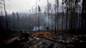 Trágicos incendios en la Patagonia dejan sin vida a un campesino, un caballo y un perro