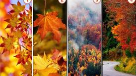 Test de personalidad: Elige tu paisaje de otoño favorito y descubre tu rasgo más oculto