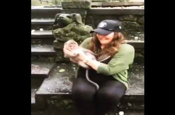 Mamá mono ataca a turista en un zoológico