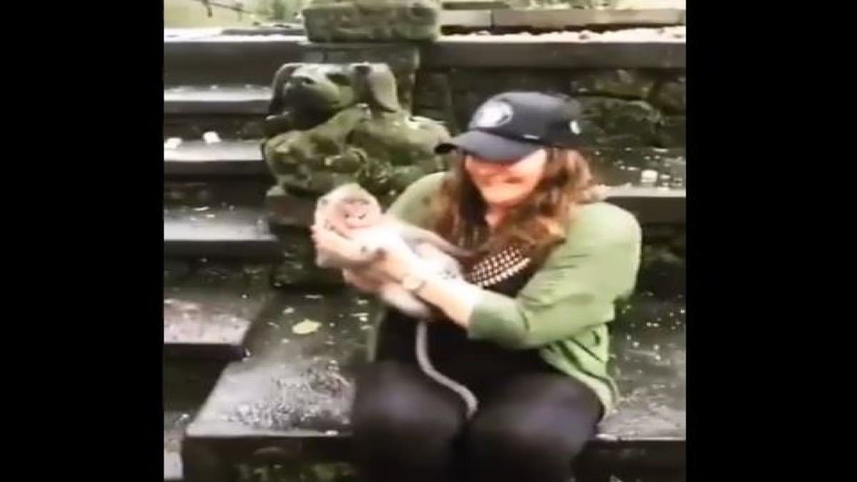 Mamá mono ataca a turista en un zoológico