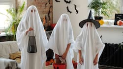 Halloween: Conoce a los signos zodiacales que aman esta festividad