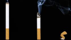 VIDEOS | Estos son algunos clips para concientizar por el Día Mundial Sin Tabaco