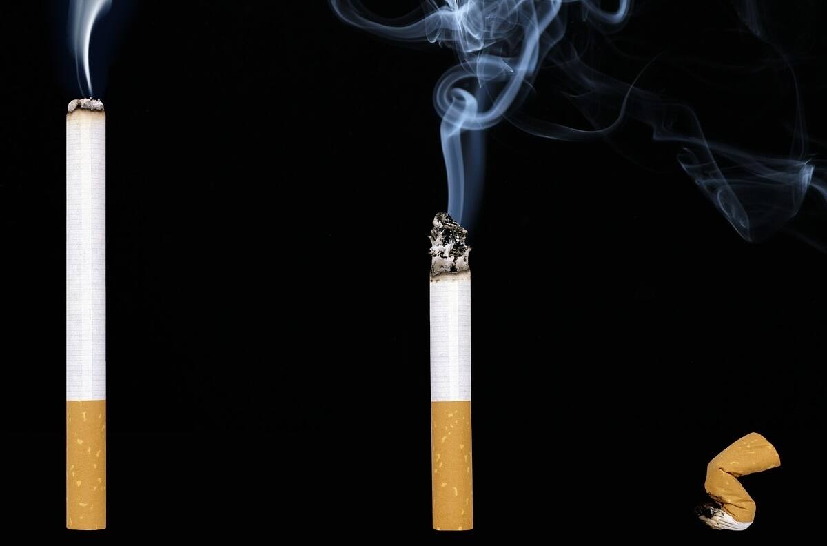 VIDEOS | Estos son algunos clips para concientizar por el Día Mundial Sin Tabaco