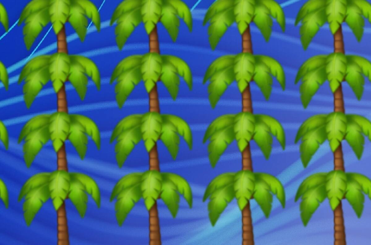 Acertijo visual: Encuentra la palmera con el coco en tan sólo 15 segundos