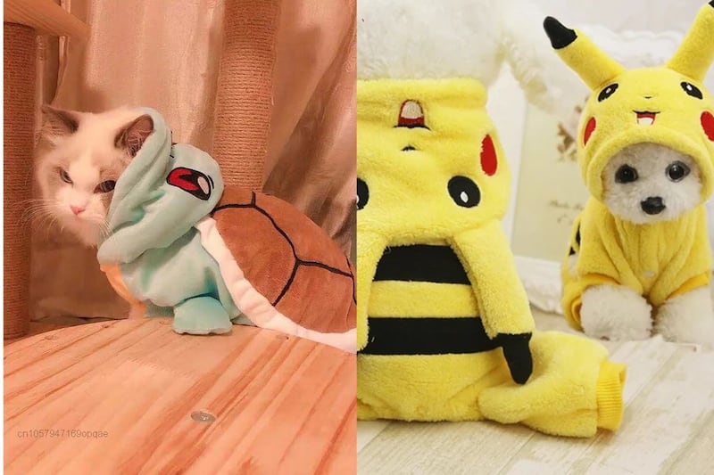Mascotas con disfraces de Pokémon.