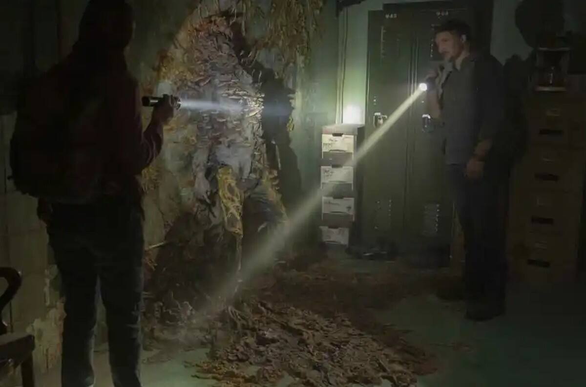 Hongo Zombi de "The Last Of Us" es real: Qué es el virus Cordyceps