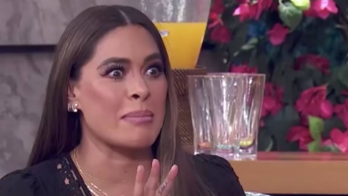 Galilea Montijo apoya a Sergio Mayer y también considera que Natalia Subtil abusó de su hijo