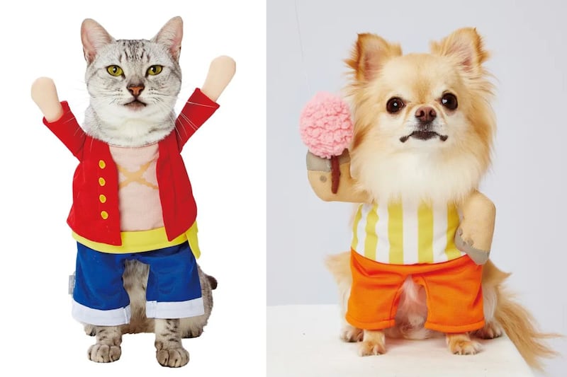 Mascotas con disfraces de One Piece.