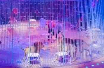 Leones se atacan durante función de circo y aterran al público