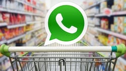 WhatsApp: Ahora podrás hacer el supermercado mandando un mensaje en la app