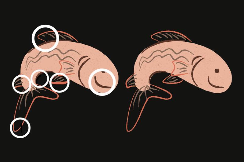 ¡Estas eran las diferencias!